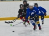 Dundas Novice Minor Hockey-Blackhawks