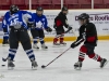 Dundas Novice Minor Hockey-Blackhawks