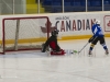 Dundas Novice Minor Hockey-Blackhawks