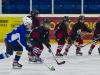 Dundas Novice Minor Hockey-Blackhawks