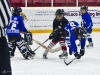 Dundas Novice Minor Hockey-Blackhawks