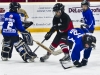 Dundas Novice Minor Hockey-Blackhawks