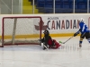 Dundas Novice Minor Hockey-Blackhawks