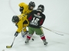 Dundas Novice Minor Hockey-Blackhawks