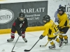 Dundas Novice Minor Hockey-Blackhawks