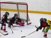 Dundas Novice Minor Hockey-Blackhawks