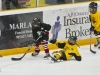 Dundas Novice Minor Hockey-Blackhawks