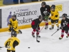 Dundas Novice Minor Hockey-Blackhawks