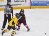 Dundas Novice Minor Hockey-Blackhawks
