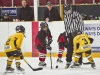Dundas Novice Minor Hockey-Blackhawks