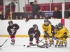 Dundas Novice Minor Hockey-Blackhawks