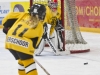 Dundas Novice Minor Hockey-Blackhawks