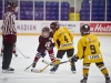 Dundas Novice Minor Hockey-Blackhawks
