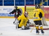Dundas Novice Minor Hockey-Blackhawks