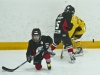 Dundas Novice Minor Hockey-Blackhawks