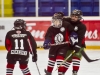 Dundas Novice Minor Hockey-Blackhawks