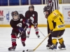 Dundas Novice Minor Hockey-Blackhawks