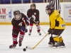 Dundas Novice Minor Hockey-Blackhawks
