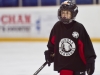 Dundas Novice Minor Hockey-Blackhawks