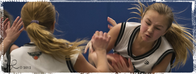 Brantford Falcons_header