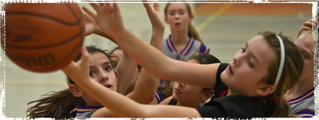 Battle of Stoney Creek Header