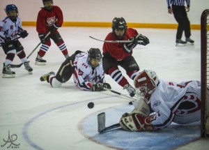 Dundas_Select_Hockey
